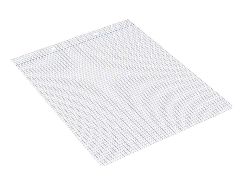 RECAMBIO LIDERPAPEL CUARTO APAISADO 100 H 2TCA-01 CUADRO 4 MM 2 TALADROS CON MARGEN