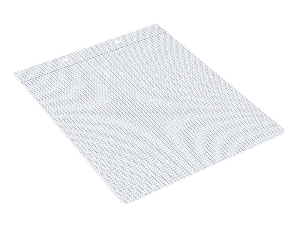 RECAMBIO LIDERPAPEL CUARTO APAISADO 100 H 2TCA-06 CUADRO 3 MM 2 TALADROS CON MARGEN