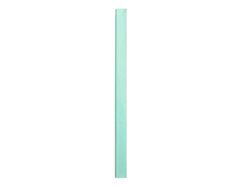 CARPETA LIDERPAPEL ESCAPARATE 40 FUNDAS POLIPROPILENO DIN A4 VERDE MANZANA OPACO