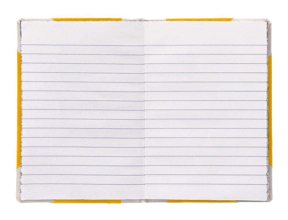 LIBRO CARTONE COSIDO FERNANDES FLECHA DIN A6+ RAYADO HORIZONTAL 50 HOJAS 100 GR VERDE
