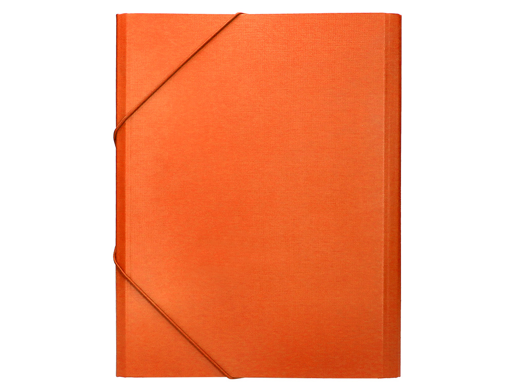 CARPETA CLASIFICADORA LIDERPAPEL 12 DEPARTAMENTOS FOLIO PROLONGADO CARTON FORRADO NARANJA