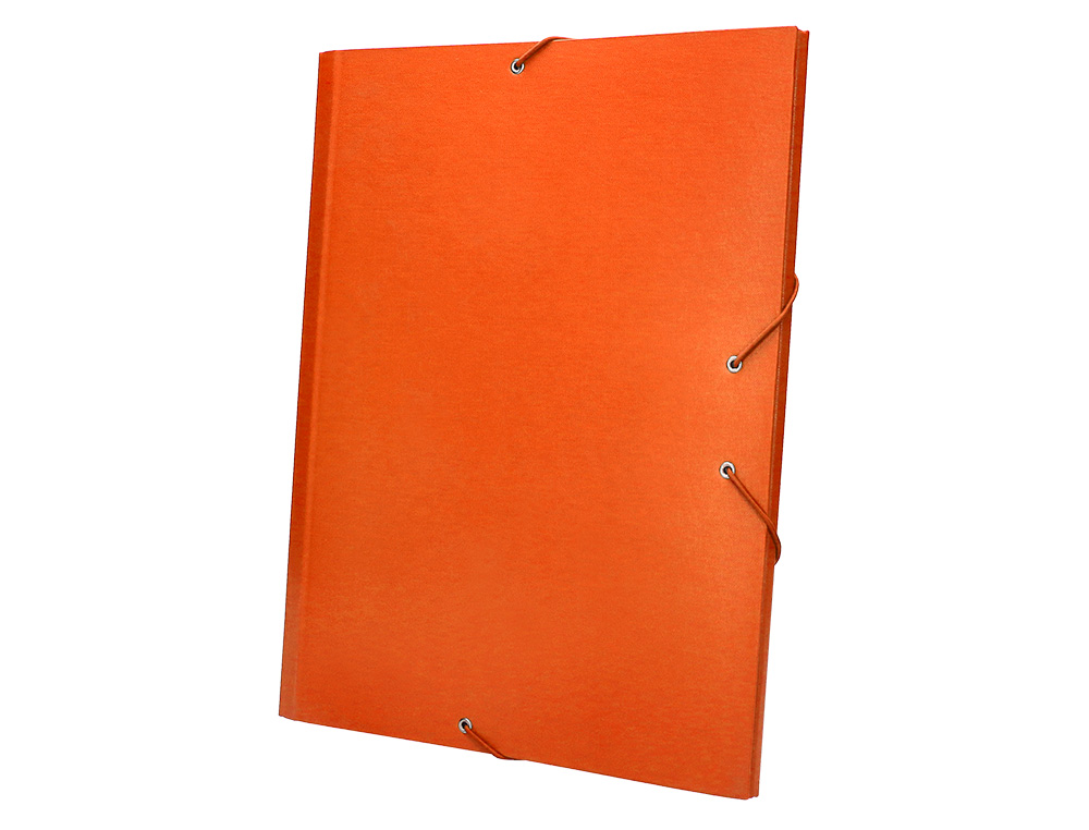 CARPETA CLASIFICADORA LIDERPAPEL 12 DEPARTAMENTOS FOLIO PROLONGADO CARTON FORRADO NARANJA