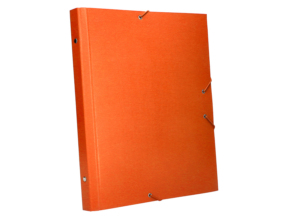 CARPETA CLASIFICADORA LIDERPAPEL 12 DEPARTAMENTOS FOLIO PROLONGADO CARTON FORRADO NARANJA