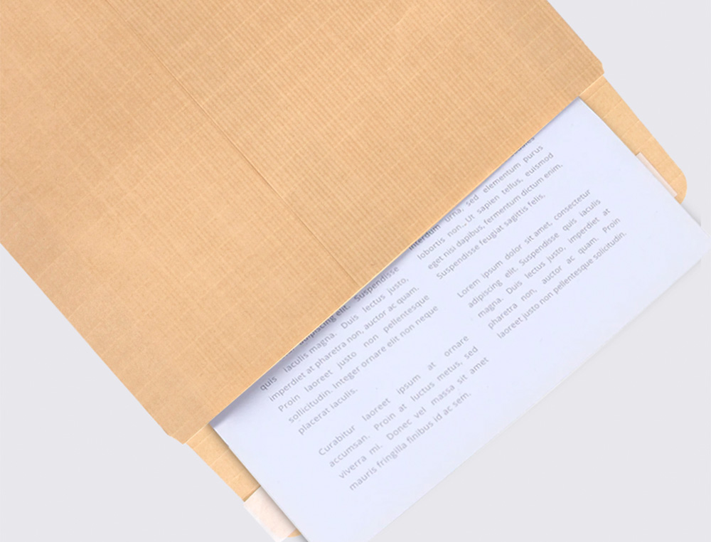SOBRE LIDERPAPEL BOLSA N.4 KRAFT SALARIOS 132X187 MM TIRA DE SILICONA CAJA DE 500 UNIDADES