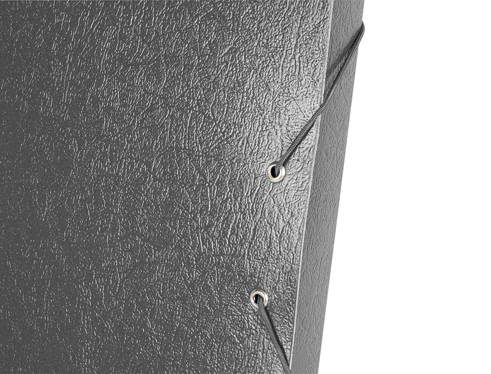 CARPETA PROYECTOS LIDERPAPEL FOLIO LOMO 30MM CARTON GOFRADO GRIS
