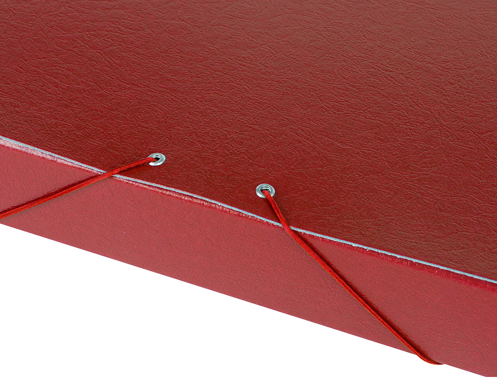 CARPETA PROYECTOS LIDERPAPEL FOLIO LOMO 50MM CARTON GOFRADO ROJA