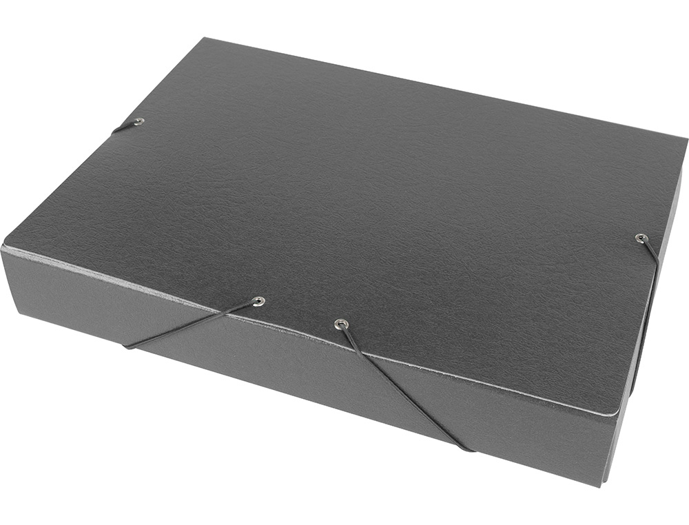 CARPETA PROYECTOS LIDERPAPEL FOLIO LOMO 50MM CARTON GOFRADO GRIS