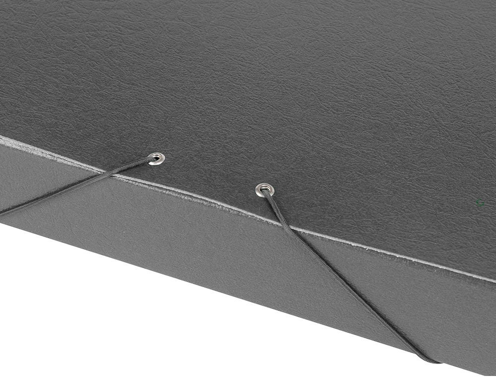 CARPETA PROYECTOS LIDERPAPEL FOLIO LOMO 50MM CARTON GOFRADO GRIS