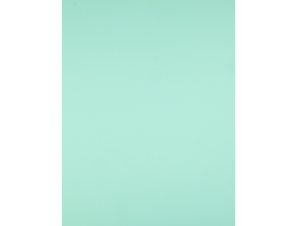 CARTULINA LIDERPAPEL 50X65 CM 240G/M2 VERDE