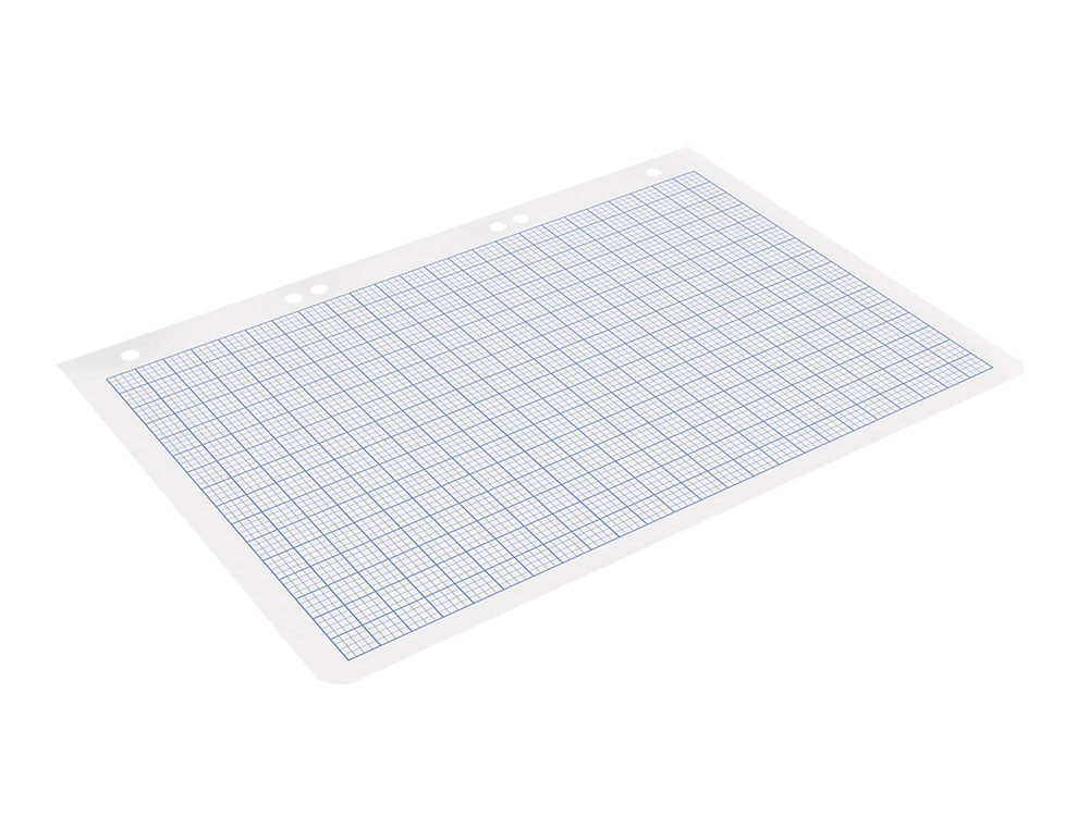 RECAMBIO LIDERPAPEL CUARTO 100 HOJAS 60GR RAYADO Nº 46 6 TALADROS