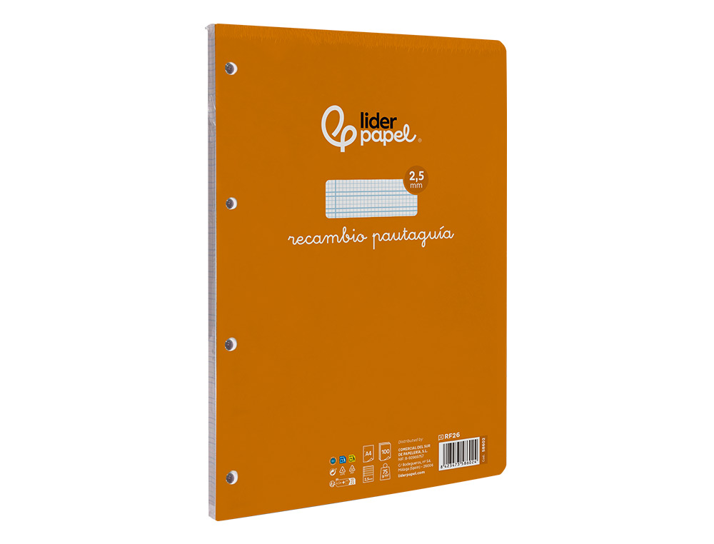 RECAMBIO LIDERPAPEL A4 PAUTAGUIA 100 HOJAS 75GR CUADRICULADO PAUTADO 2,5MM CON MARGEN 4 TALADROS