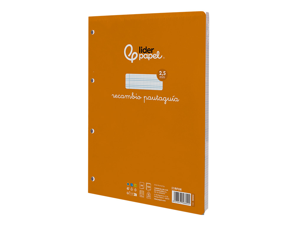 RECAMBIO LIDERPAPEL A4 PAUTAGUIA 100 HOJAS 75GR CUADRICULADO PAUTADO 2,5MM CON MARGEN 4 TALADROS
