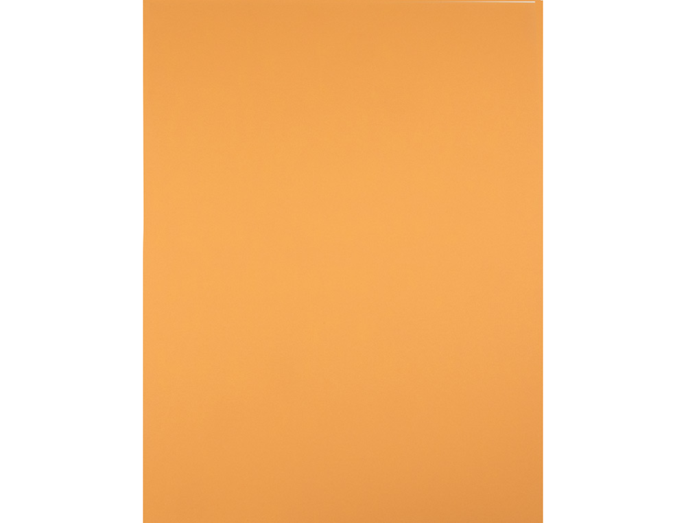 CARTULINA LIDERPAPEL 50X65 CM 240G/M2 AVELLANA PAQUETE DE 25 HOJAS