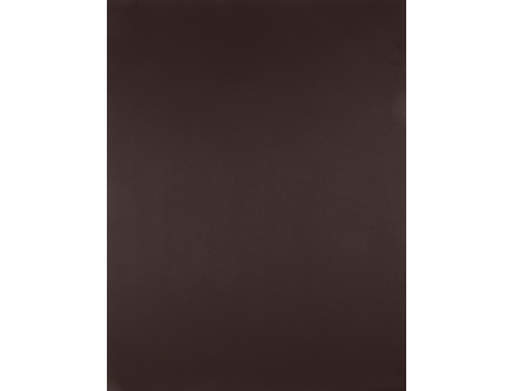 CARTULINA LIDERPAPEL 50X65 CM 240G/M2 MARRON PAQUETE DE 25 HOJAS
