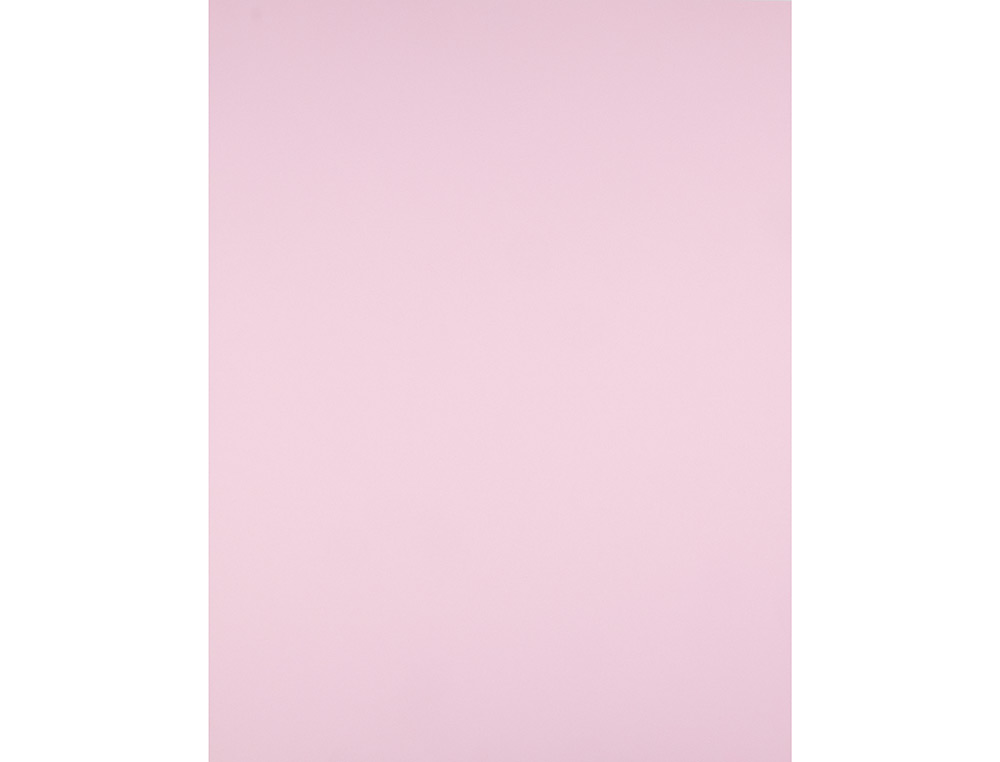 CARTULINA LIDERPAPEL 50X65 CM 240G/M2 ROSA PAQUETE DE 25 HOJAS
