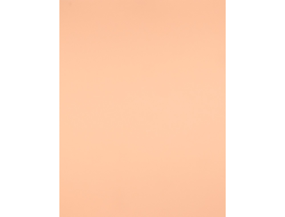 CARTULINA LIDERPAPEL 50X65 CM 240G/M2 SEPIA PAQUETE DE 25 HOJAS