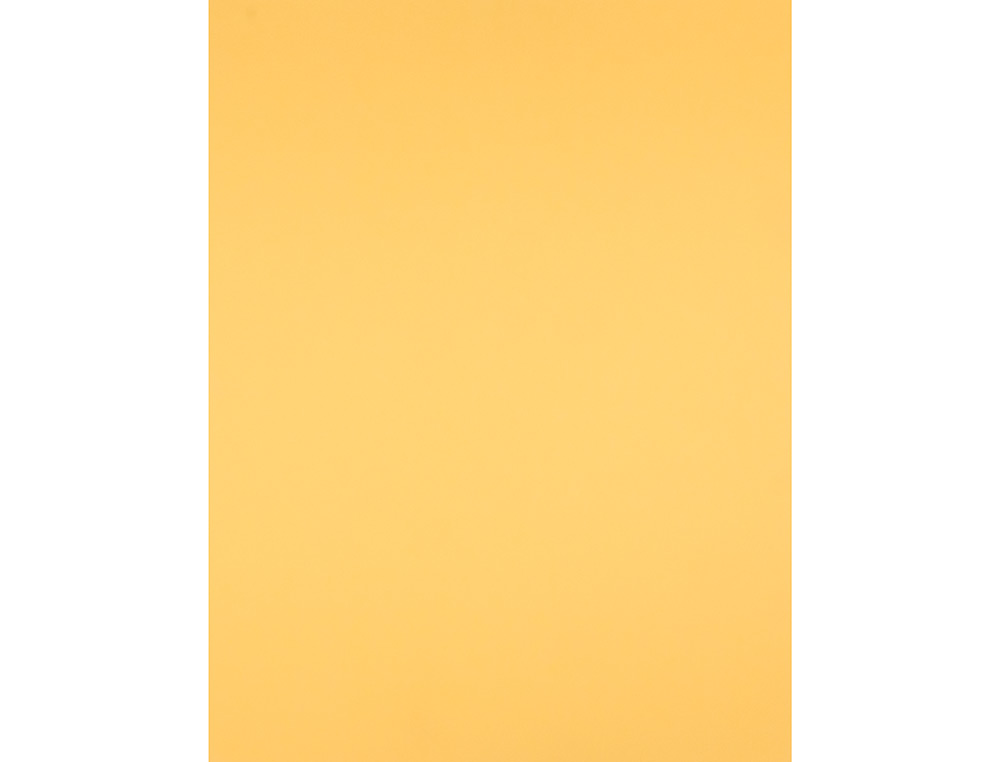 CARTULINA LIDERPAPEL 50X65 CM 180 GR ORO PAQUETE DE 25 HOJAS